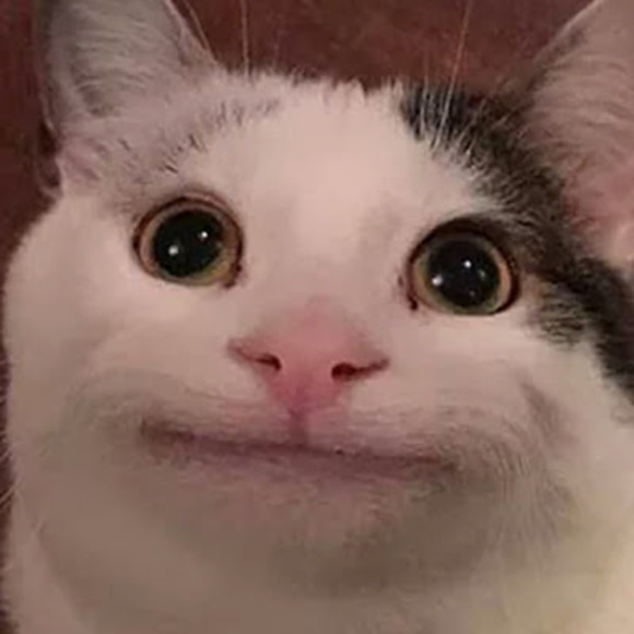 man13524